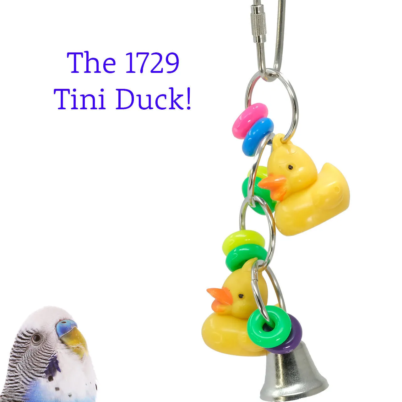 1729 Tini Duck