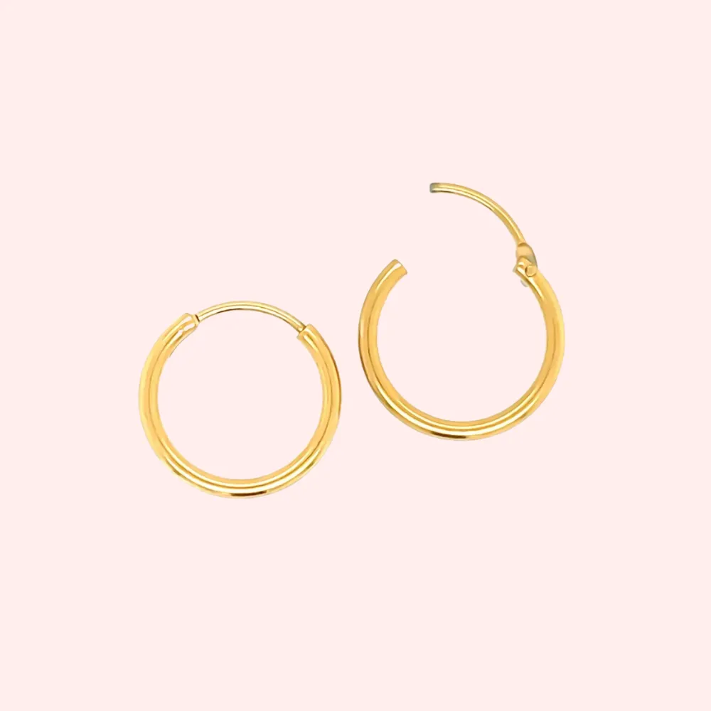 Delicate Hypoallergenic Hoop Earrings