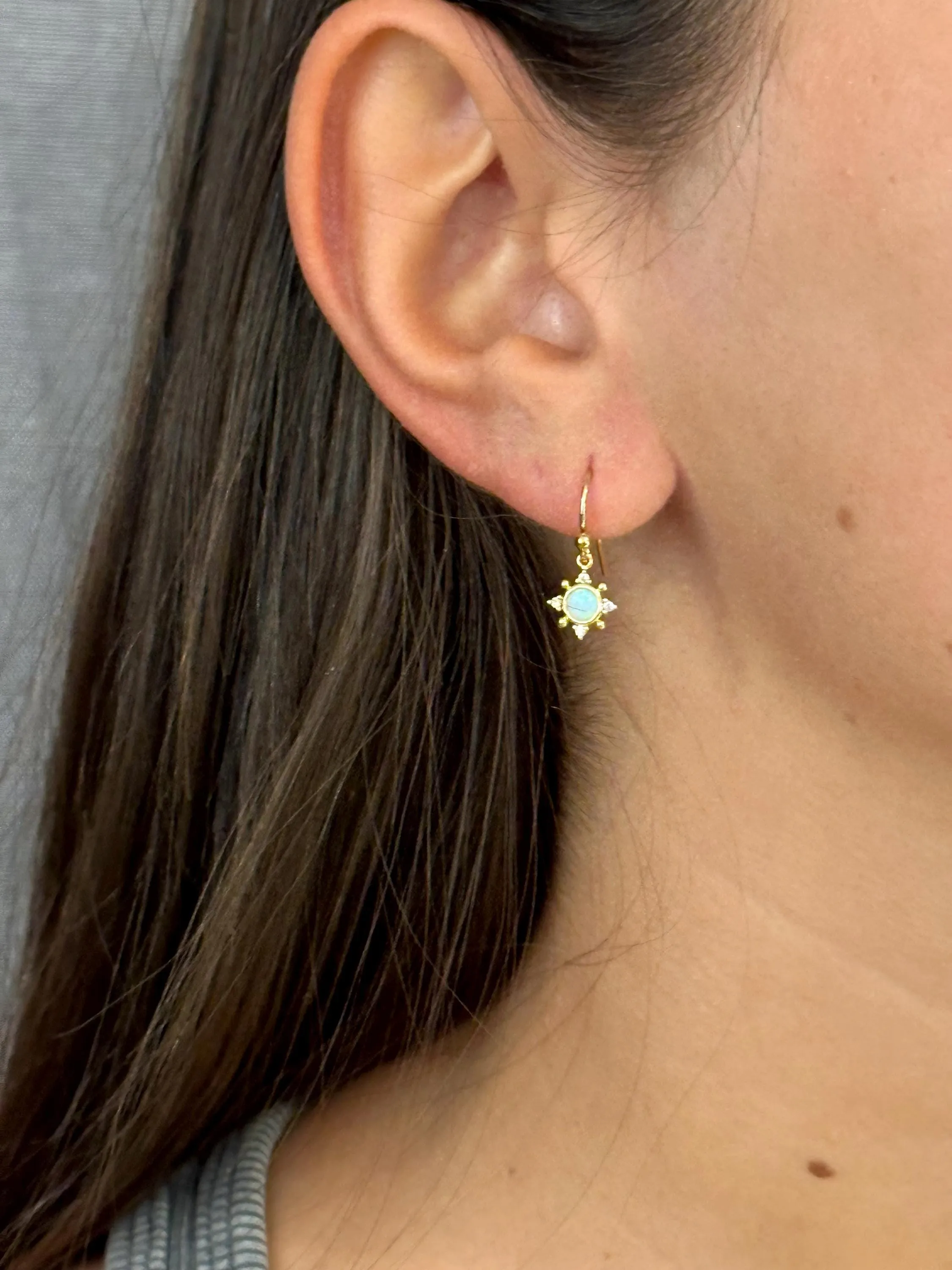 Delicate Opal Geo Star Earrings