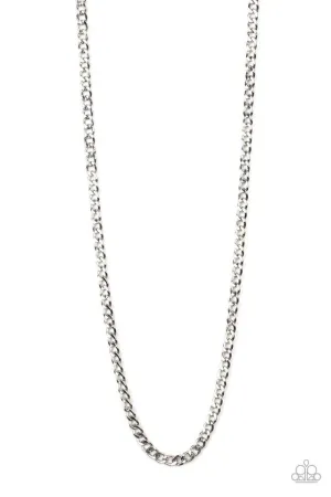 Paparazzi Necklace ~ Delta - Silver